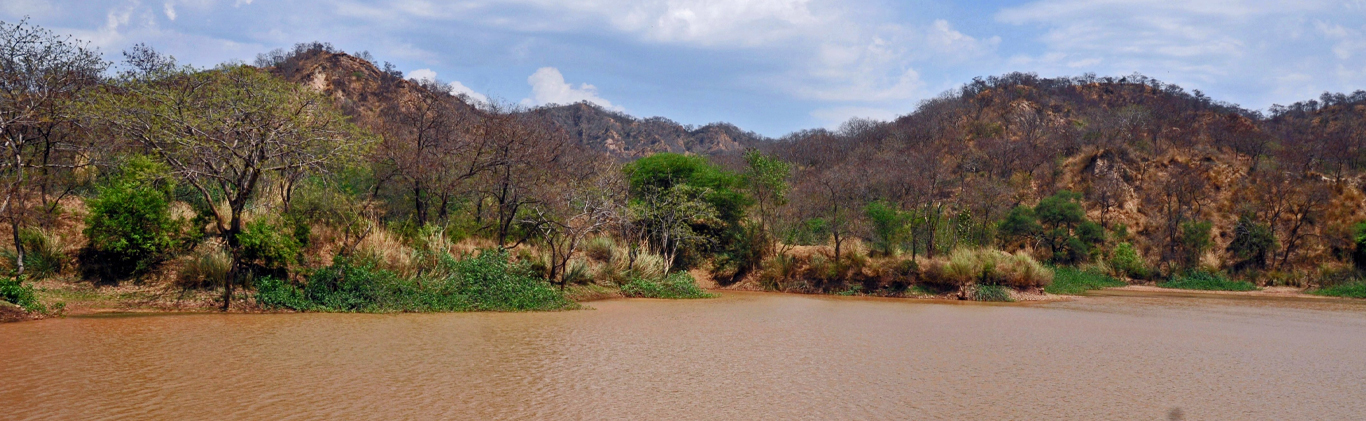 Sukhna Wildlife Sanctuary 